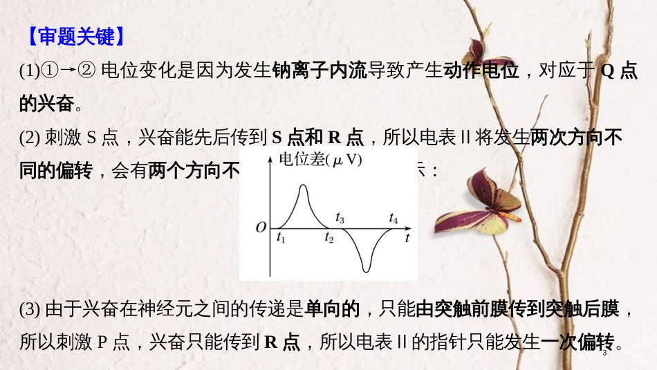 2019版生物高考大一轮复习 热点题型十二 膜电位的测定及兴奋传导与传递的相关实验探究课件 北师大版_第3页