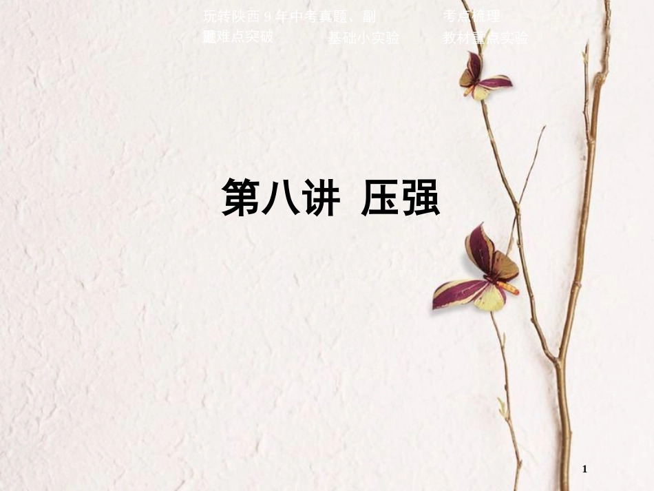 中考物理二轮复习 第八讲 压强课件_第1页