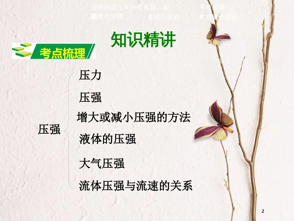 中考物理二轮复习 第八讲 压强课件_第2页
