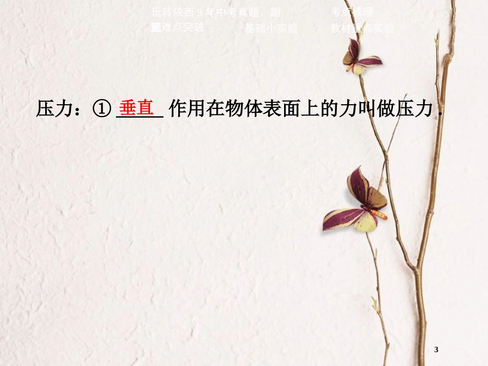 中考物理二轮复习 第八讲 压强课件_第3页