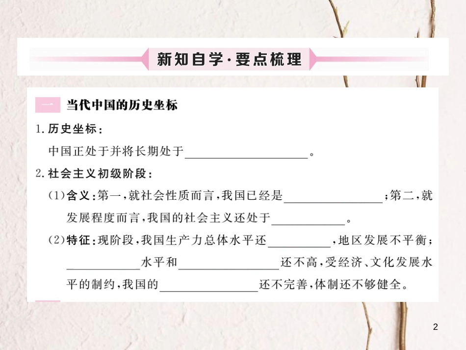 九年级政治全册 第一单元 世界大舞台 第三课 中国的道路 第1框 中国的现代化之路课件 人民版_第2页