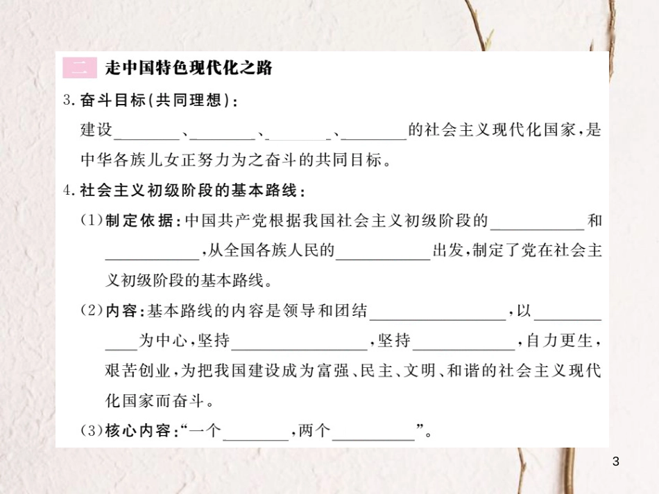 九年级政治全册 第一单元 世界大舞台 第三课 中国的道路 第1框 中国的现代化之路课件 人民版_第3页