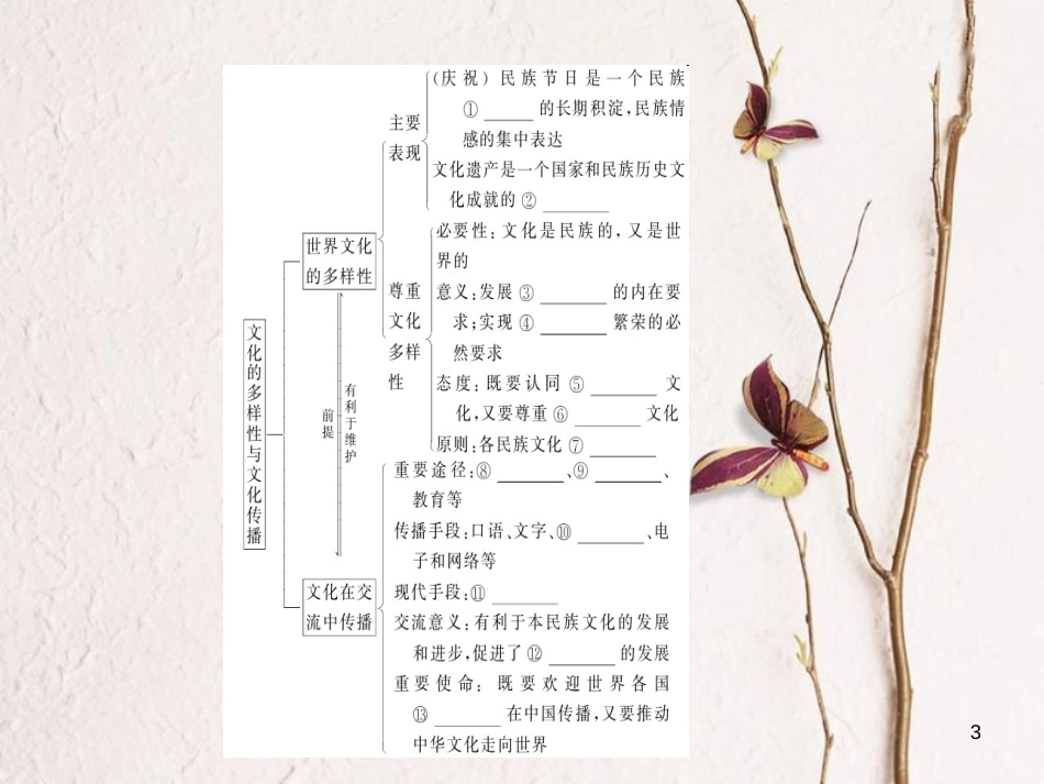 2019年高考政治一轮复习 第二单元 文化传承与创新 3 文化的多样性与文化传播课件 新人教版必修3_第3页