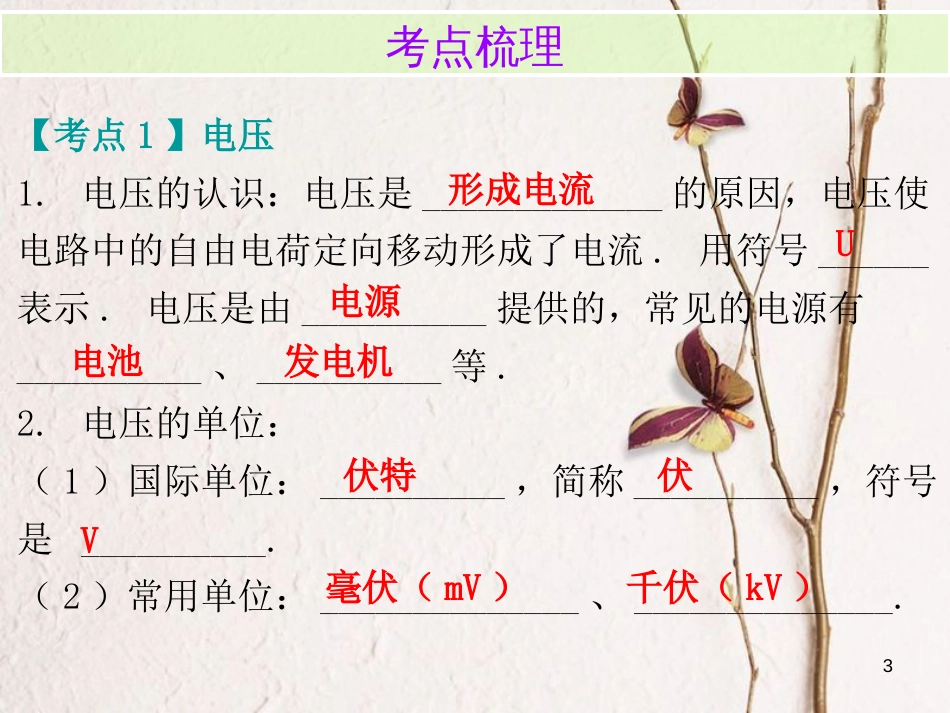 广东省中考物理总复习 第一部分 基础复习 第21课时 电压 电阻内文部分课件_第3页