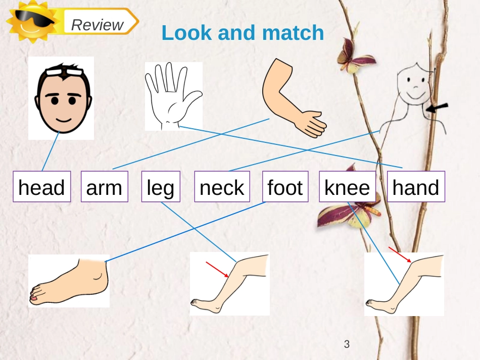 三年级英语上册 Unit 3 Look at my nose（Lesson 18）教学课件 人教精通版_第3页