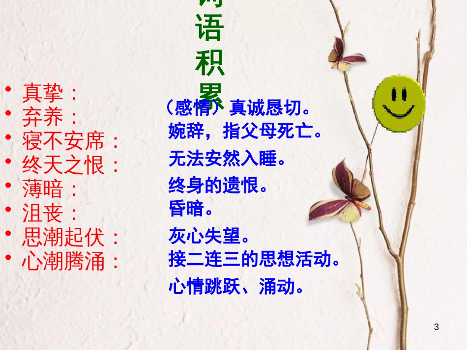 九年级语文下册 第六课《怀念母亲》课件2 新疆教育版_第3页