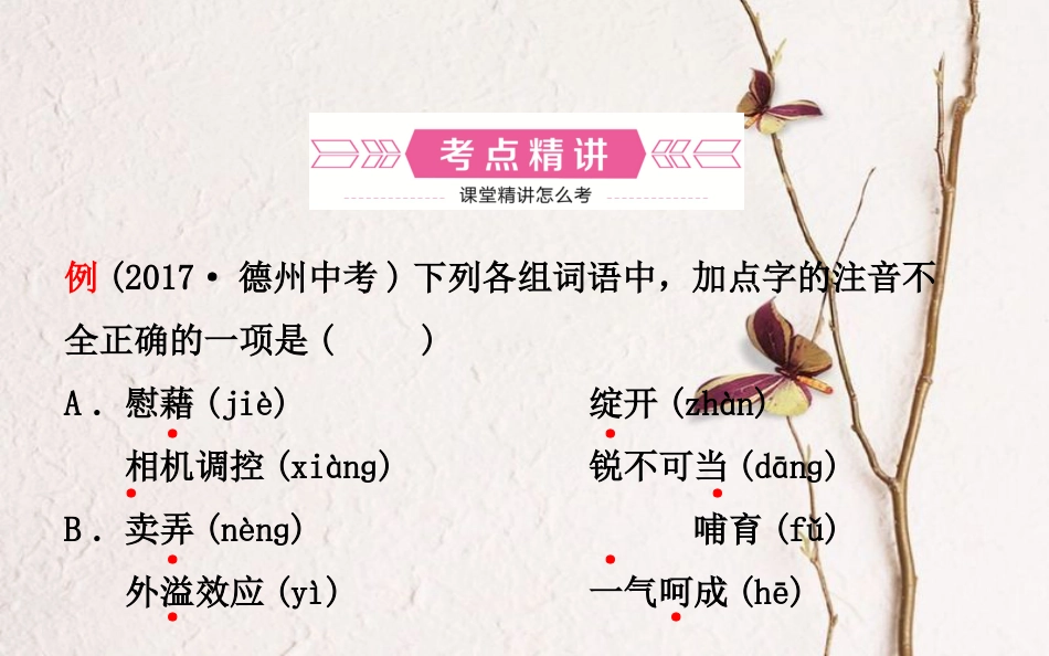 山东省德州市中考语文 专题复习一 字音字形(含书法欣赏)课件_第2页