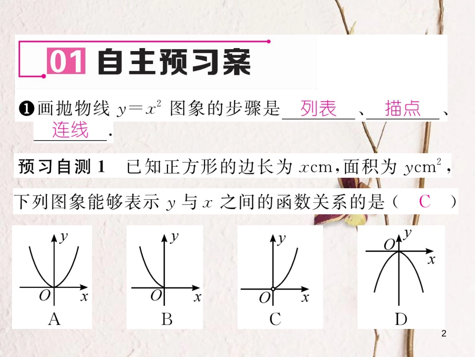 九年级数学下册 第2章 二次函数 2 二次函数的图象与性质（第1课时）作业课件 （新版）北师大版_第2页