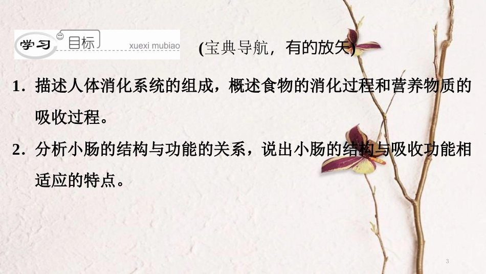 （深圳专用）七年级生物下册 第四单元 第二章 第二节 消化和吸收课件 （新版）新人教版_第3页