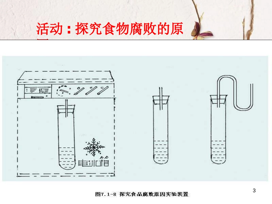 江西省万载县八年级生物上册 5.3.2食品保存技术课件 （新版）冀教版_第3页