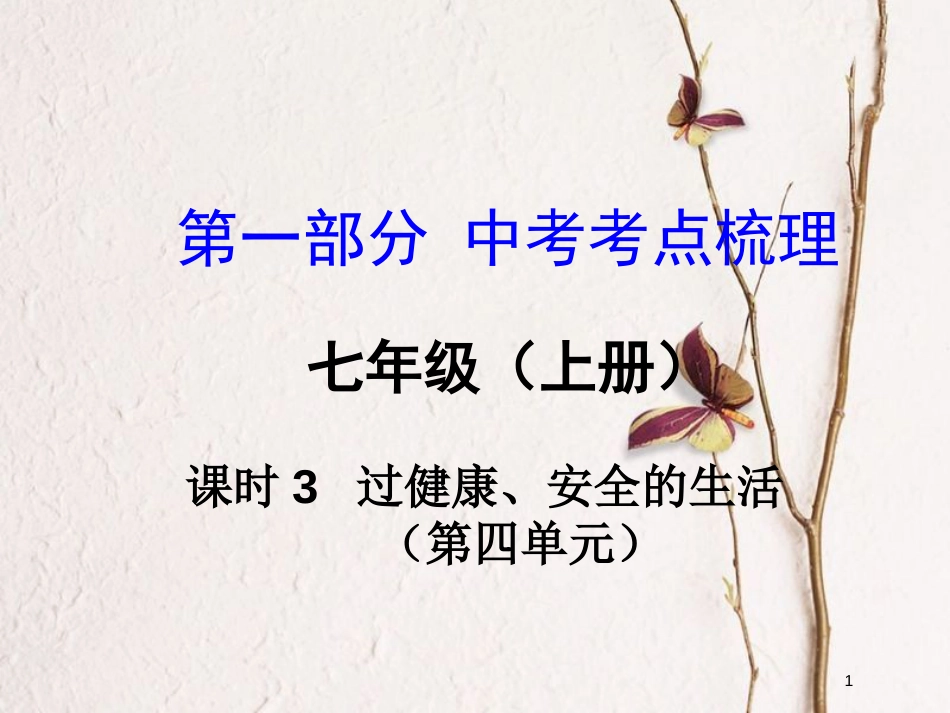 湖南省中考政治总复习 课时3 过健康、安全的生活课件_第1页