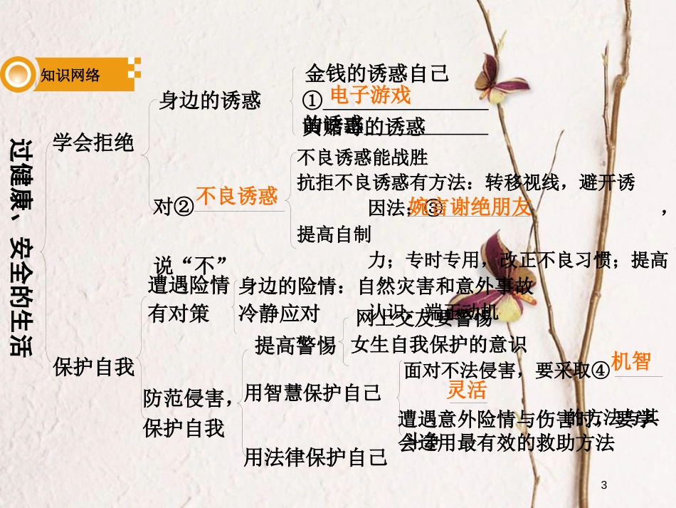 湖南省中考政治总复习 课时3 过健康、安全的生活课件_第3页