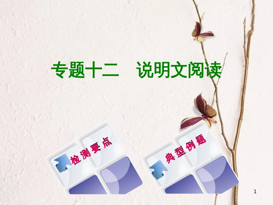 湖南省2018年中考语文 专题十二 说明文阅读复习课件_第1页