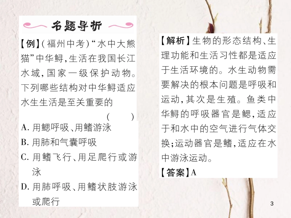 八年级生物上册 第五单元 第1章 第四节 鱼课件 （新版）新人教版_第3页