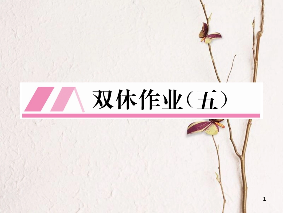 （毕节专版）七年级数学下册 双休作业（五）作业课件 （新版）北师大版_第1页