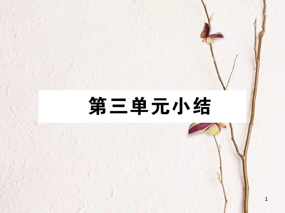 九年级政治全册 第三单元 法治时代小结课件 人民版_第1页