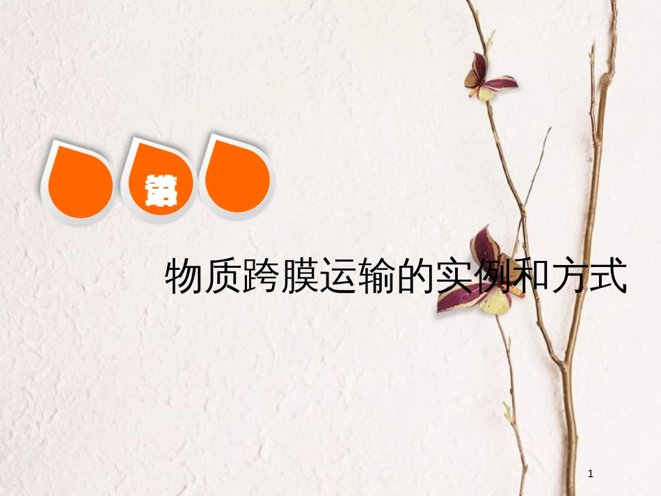 2019版高考生物一轮复习 第二单元 细胞的结构与物质的输入和输出 第三讲 物质跨膜运输的实例和方式精选课件_第1页