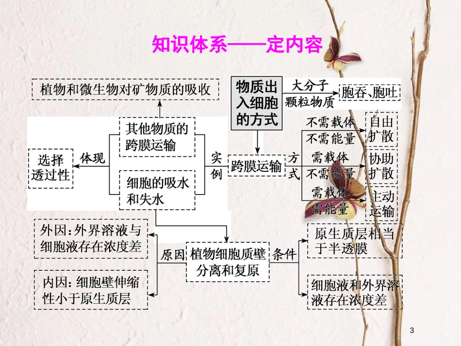2019版高考生物一轮复习 第二单元 细胞的结构与物质的输入和输出 第三讲 物质跨膜运输的实例和方式精选课件_第3页