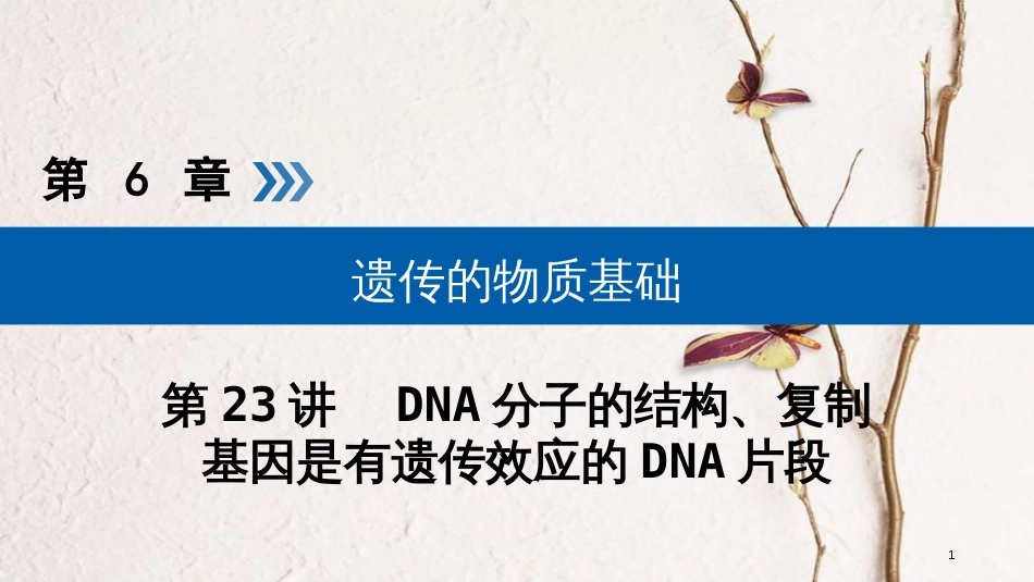 2019版高考生物大一轮复习 第23讲 DNA分子的结构、复制优选课件_第1页
