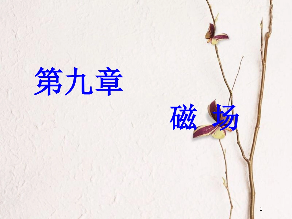 2019届高考物理一轮复习 第九章 磁场 第1节 磁场的描述 磁场对电流的作用课件_第1页