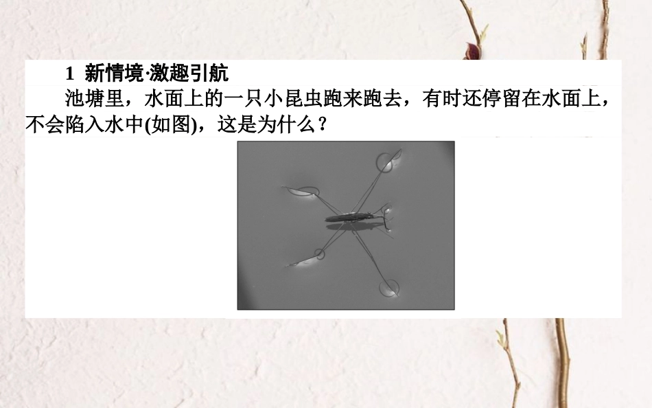 高中物理 第九章 固体、液体和物态变化 9.2 液体课件 新人教版选修3-3_第2页