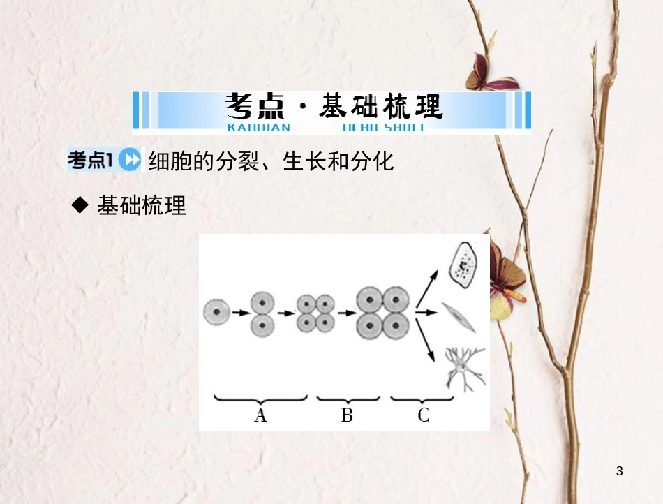 中考生物 考点梳理 第一轮 第一章 第二讲 细胞怎样构成生物体课件_第3页