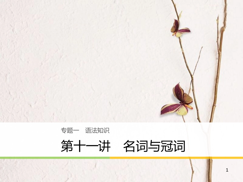 （江苏专用）高考英语大二轮复习与增分策略 专题一 语法知识 第十一讲 名词与冠词课件_第1页