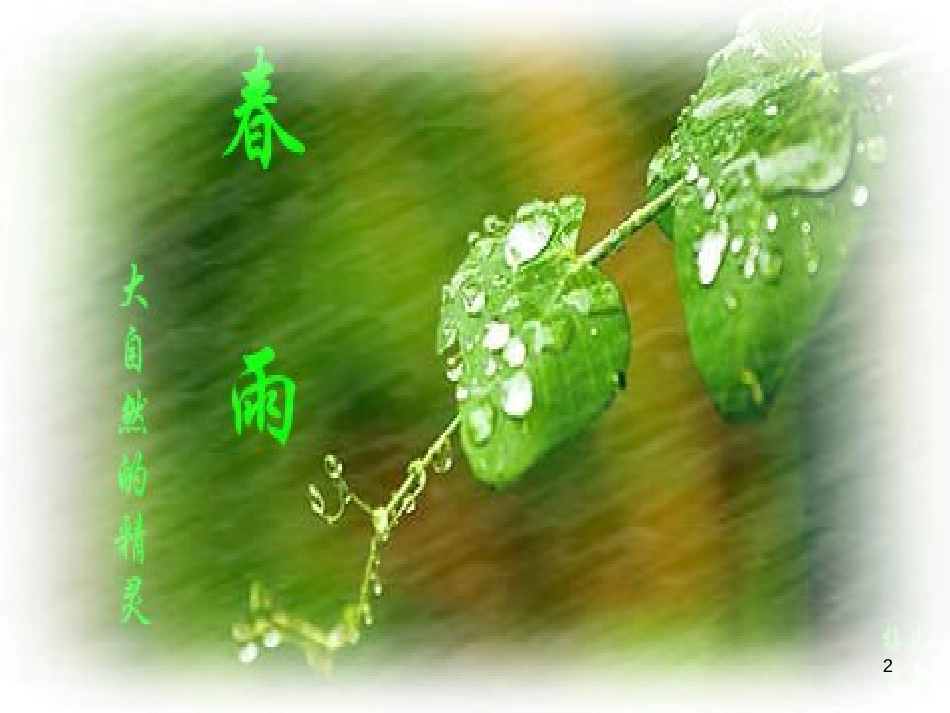 九年级语文上册 第一单元 第二课 雨说课件 （新版）新人教版_第2页