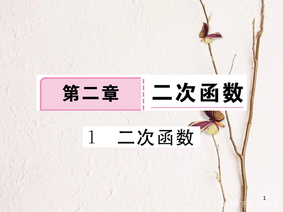 年九年级数学下册 第二章 二次函数 2.1 二次函数练习课件 （新版）北师大版_第1页