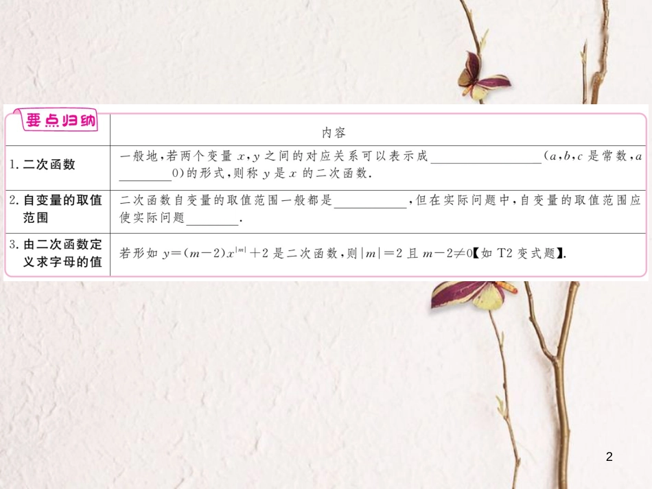 年九年级数学下册 第二章 二次函数 2.1 二次函数练习课件 （新版）北师大版_第2页