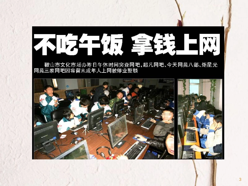 辽宁省辽阳市中考政治 中学生与网络世界复习课件_第3页