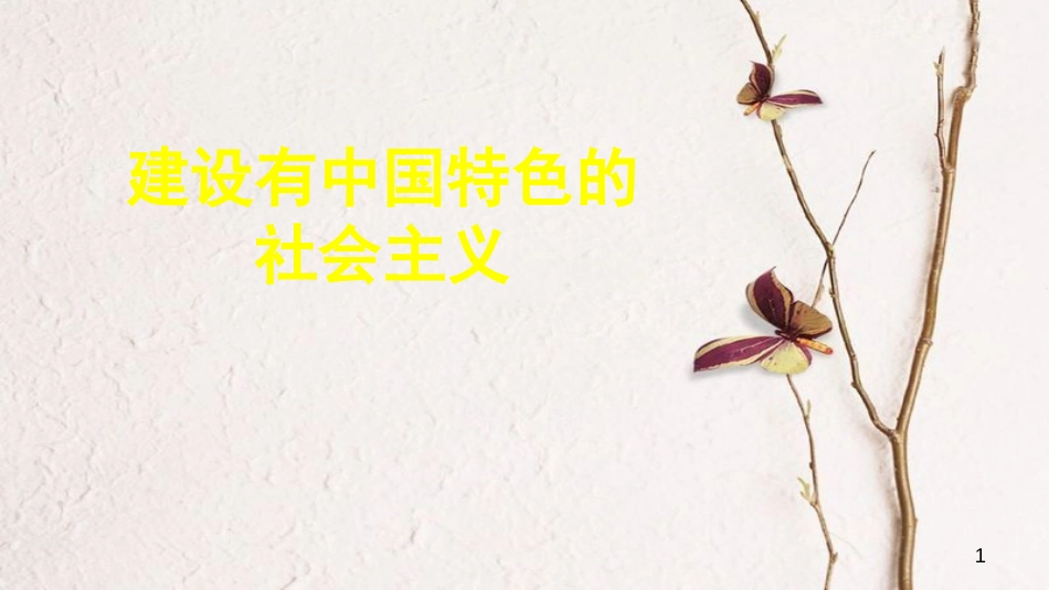 中考历史专题复习 建设有中国特色的社会主义课件 新人教版_第1页