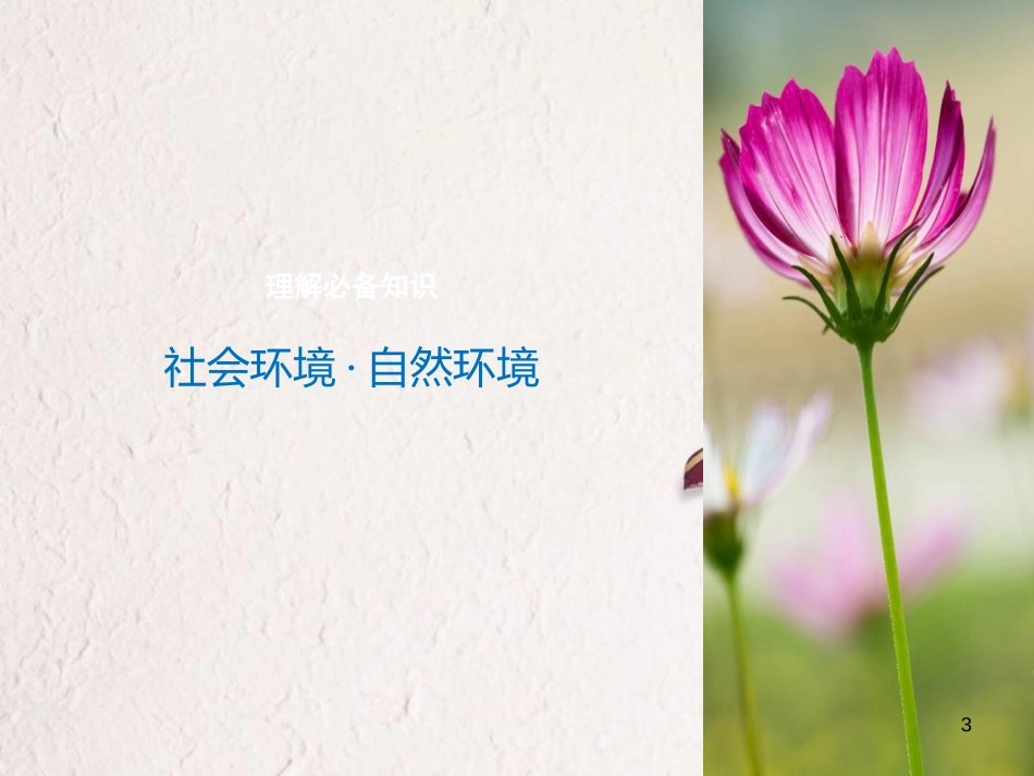 （全国版）2019版高考语文大一轮复习 第三章 文学类文本阅读 小说阅读 专题三 理解必备知识，掌握关键能力 核心突破二 分析概括形象课件_第3页