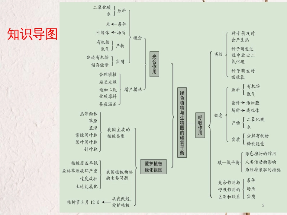 广东省中考生物 第三单元 生物圈中的绿色植物 第五章 第六章 绿色植物的光合作用 绿色植物的呼吸作用课件_第3页