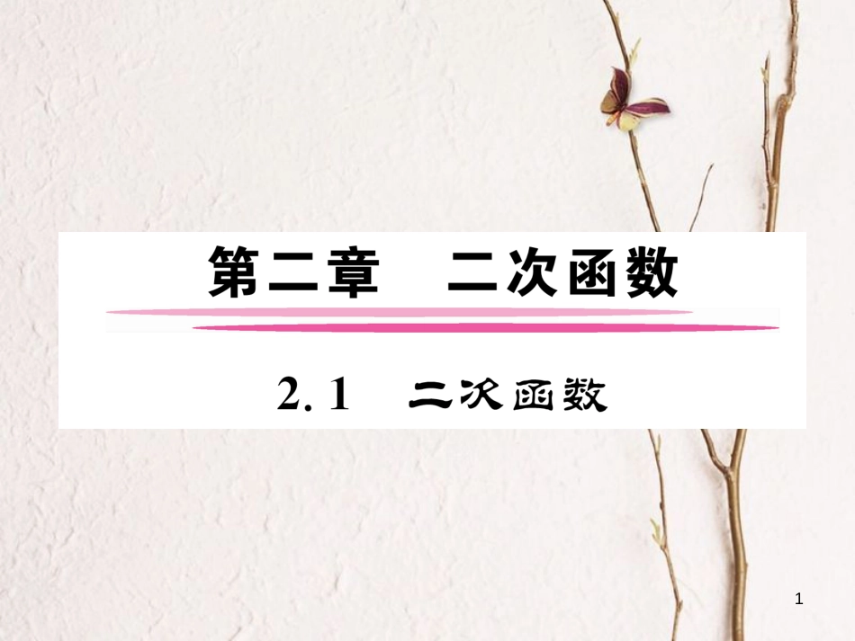九年级数学下册 第二章 二次函数 2.1 二次函数作业课件 （新版）北师大版_第1页
