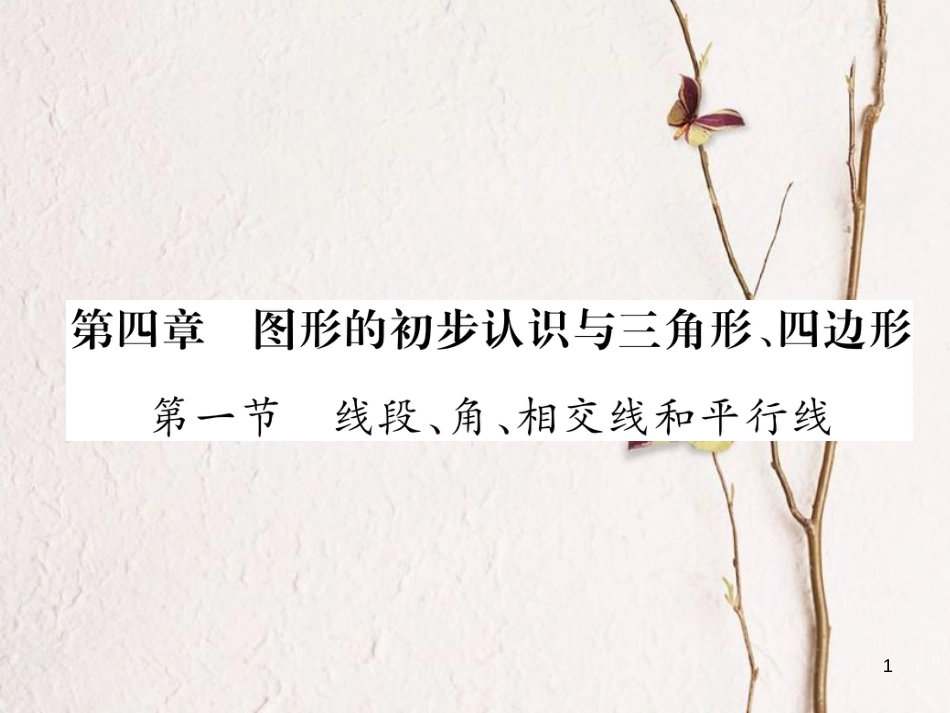 （青海专版）中考数学复习 第1编 教材知识梳理篇 第4章 图形的初步认识与三角形、四边形 第1节 线段、角、相交线和平行线（精讲）课件_第1页