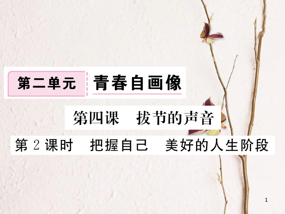 八年级道德与法治上册 第二单元 青春自画像 第四课 拔节的声音 第2框《把握自己美好的人生阶段》习题课件 人民版_第1页
