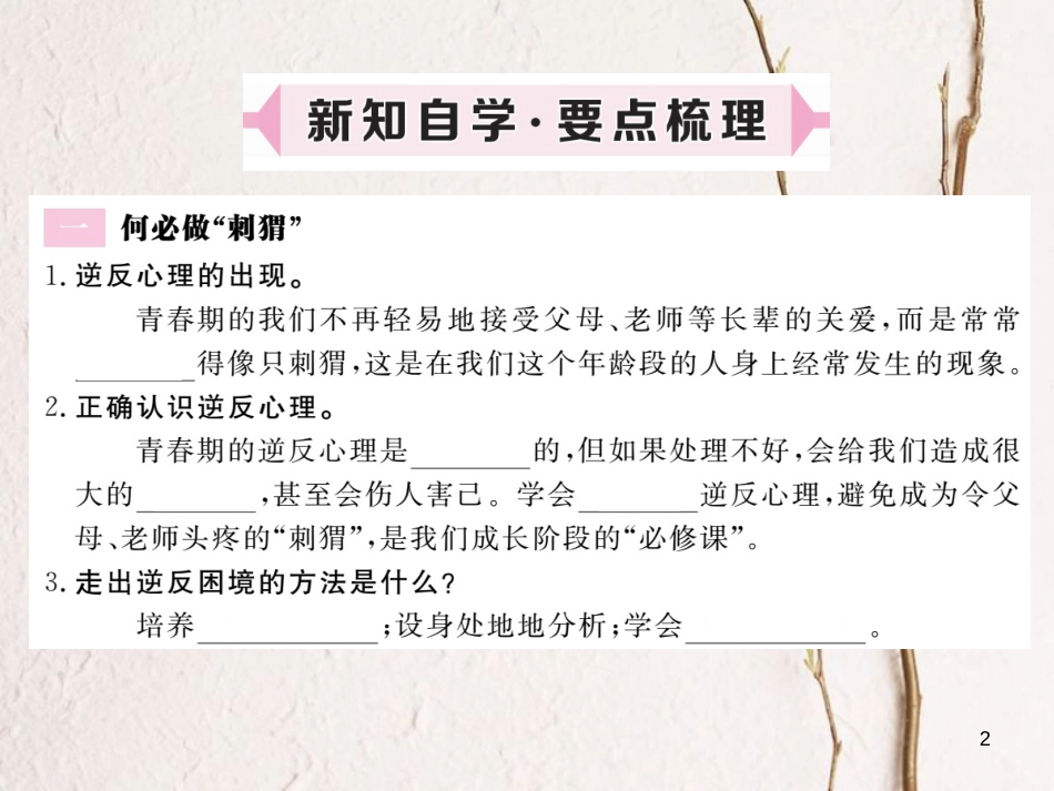 八年级道德与法治上册 第二单元 青春自画像 第四课 拔节的声音 第2框《把握自己美好的人生阶段》习题课件 人民版_第2页