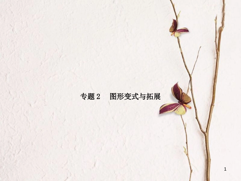 河北省中考数学复习 专题2 图形变式与拓展课件_第1页
