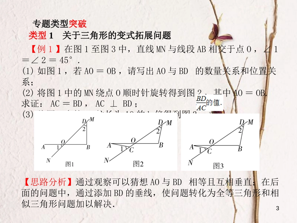 河北省中考数学复习 专题2 图形变式与拓展课件_第3页