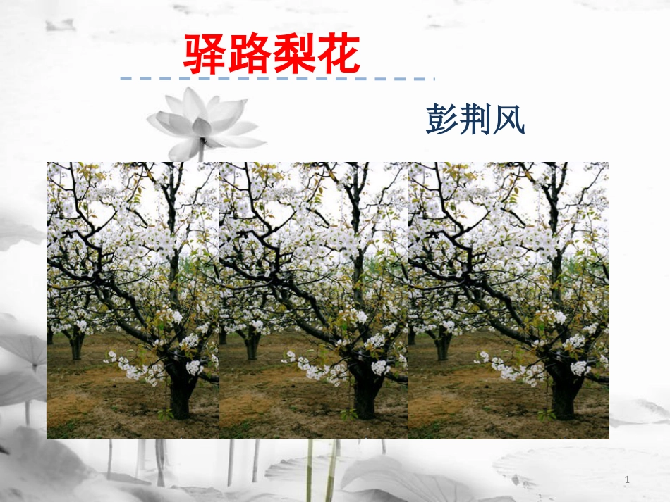 七年级语文下册 第四单元 14驿路梨花课件 新人教版_第1页