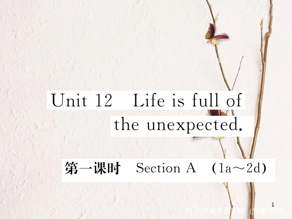 （安徽专版）九年级英语全册 Unit 12 Life is full of the unexpected（第1课时）习题课件 （新版）人教新目标版_第1页