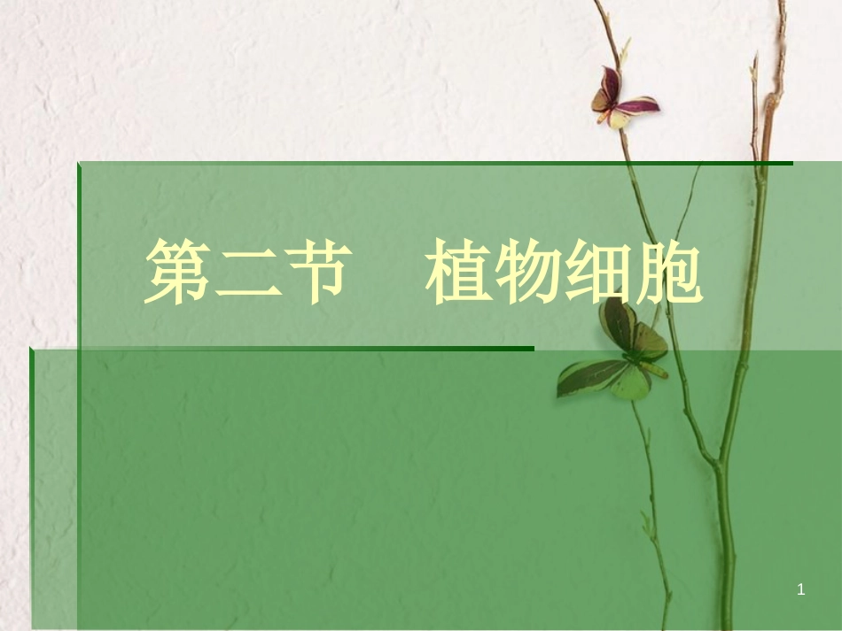 湖南省桑植县七年级生物上册 第二单元 第一章 第二节 植物细胞课件 （新版）新人教版_第1页