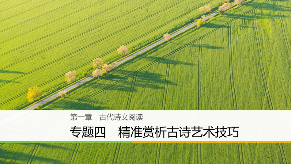 （江苏专用）高考语文大二轮复习与增分策略 第一章 古代诗文阅读 专题四 精准赏析古诗艺术技巧课件_第1页