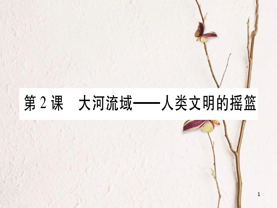 （广西专版）九年级历史上册 第2课 大河流域—人类文明的摇篮习题课件 新人教版_第1页
