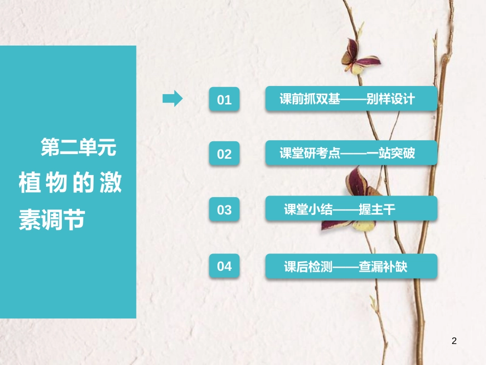 （全国通用版）2019版高考生物一轮复习 第3部分 稳态与环境 第二单元 植物的激素调节课件_第2页