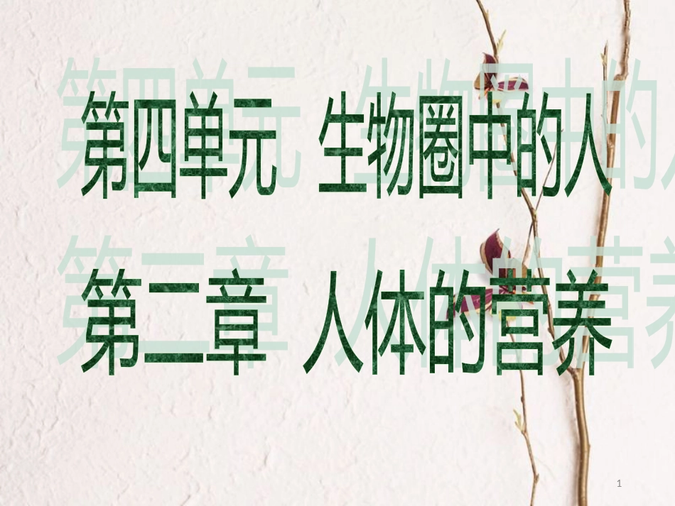 广东省中考生物 第四单元 生物圈中的人 第二章 人体的营养课件_第1页