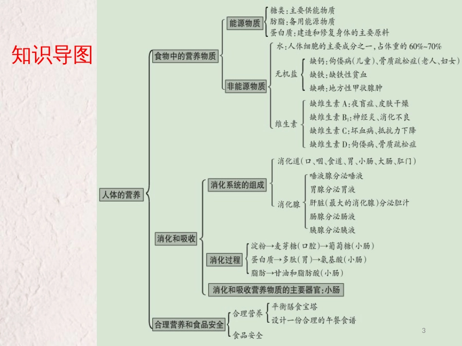 广东省中考生物 第四单元 生物圈中的人 第二章 人体的营养课件_第3页