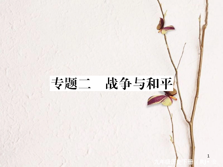 （安徽专版）九年级历史下册 专题二 战争与和平同步测试课件 新人教版_第1页