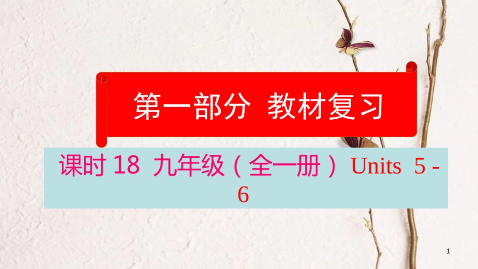 云南省中考英语学业水平精准复习方案 第一部分 教材复习 课时18 九全 Units 5-6课件_第1页